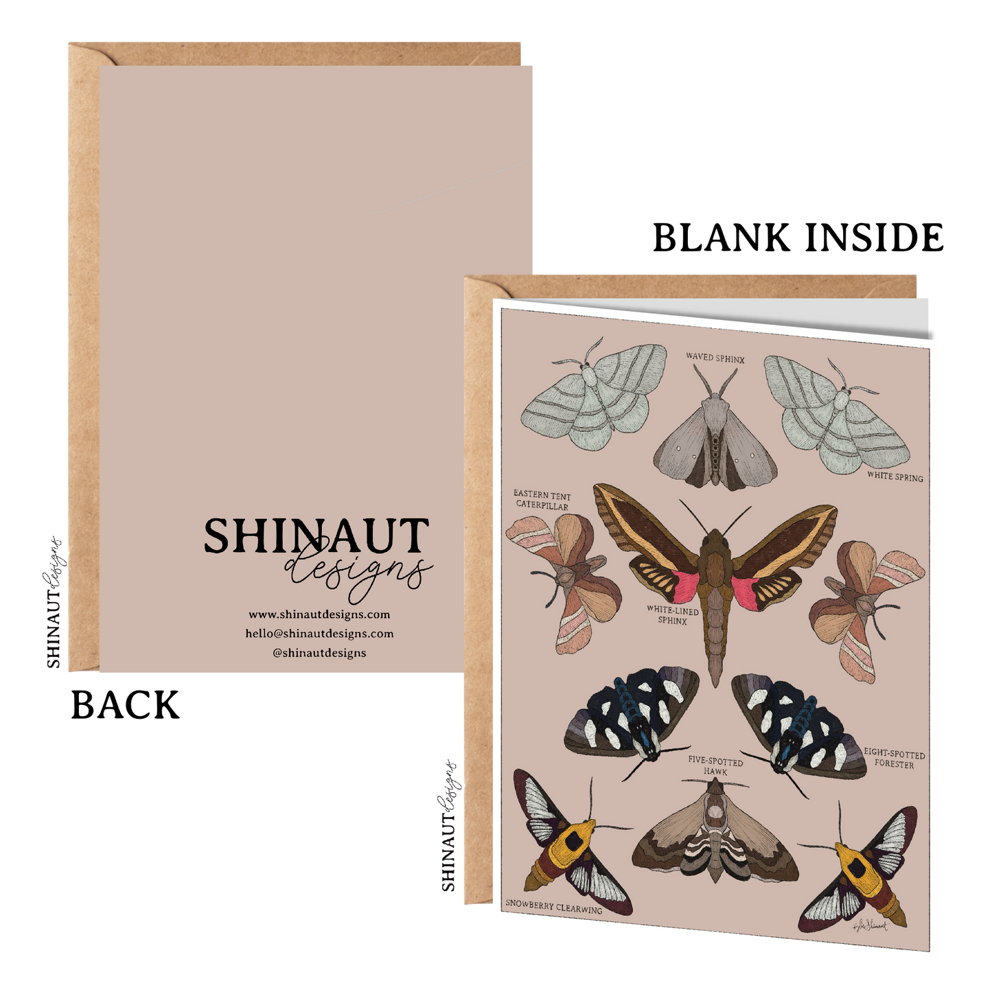 garden moths entomology classification greeting card front and back