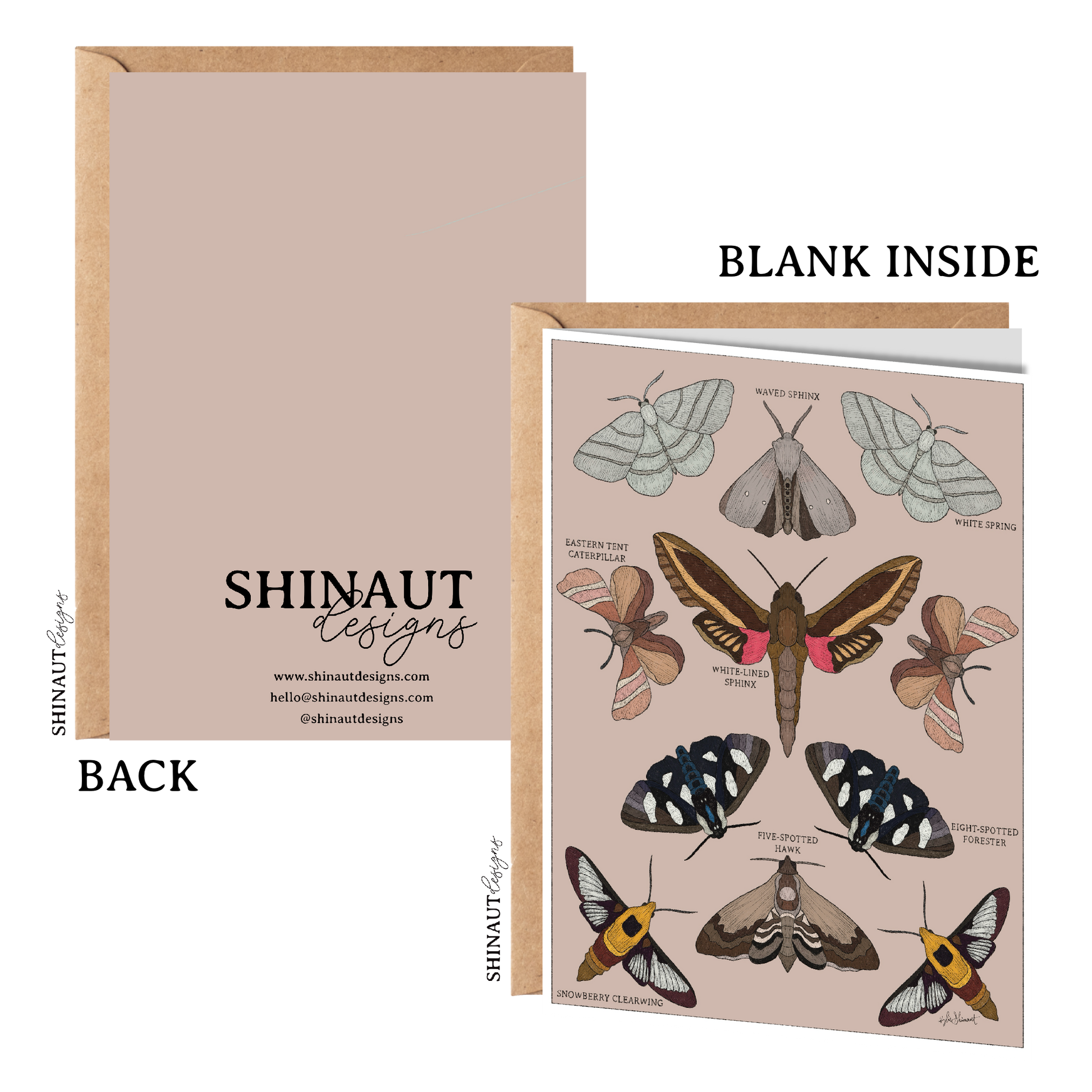 garden moths entomology classification greeting card front and back
