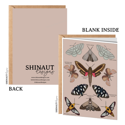 garden moths entomology classification greeting card front and back