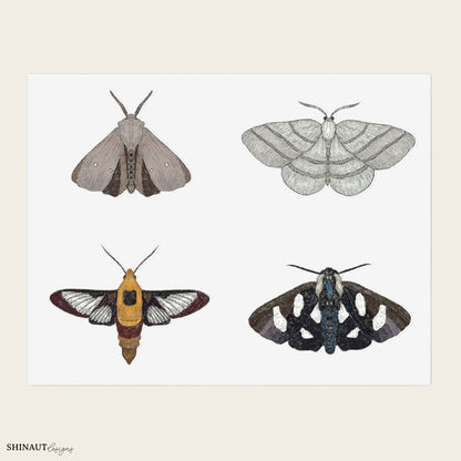 garden moths version 1 sticker sheet