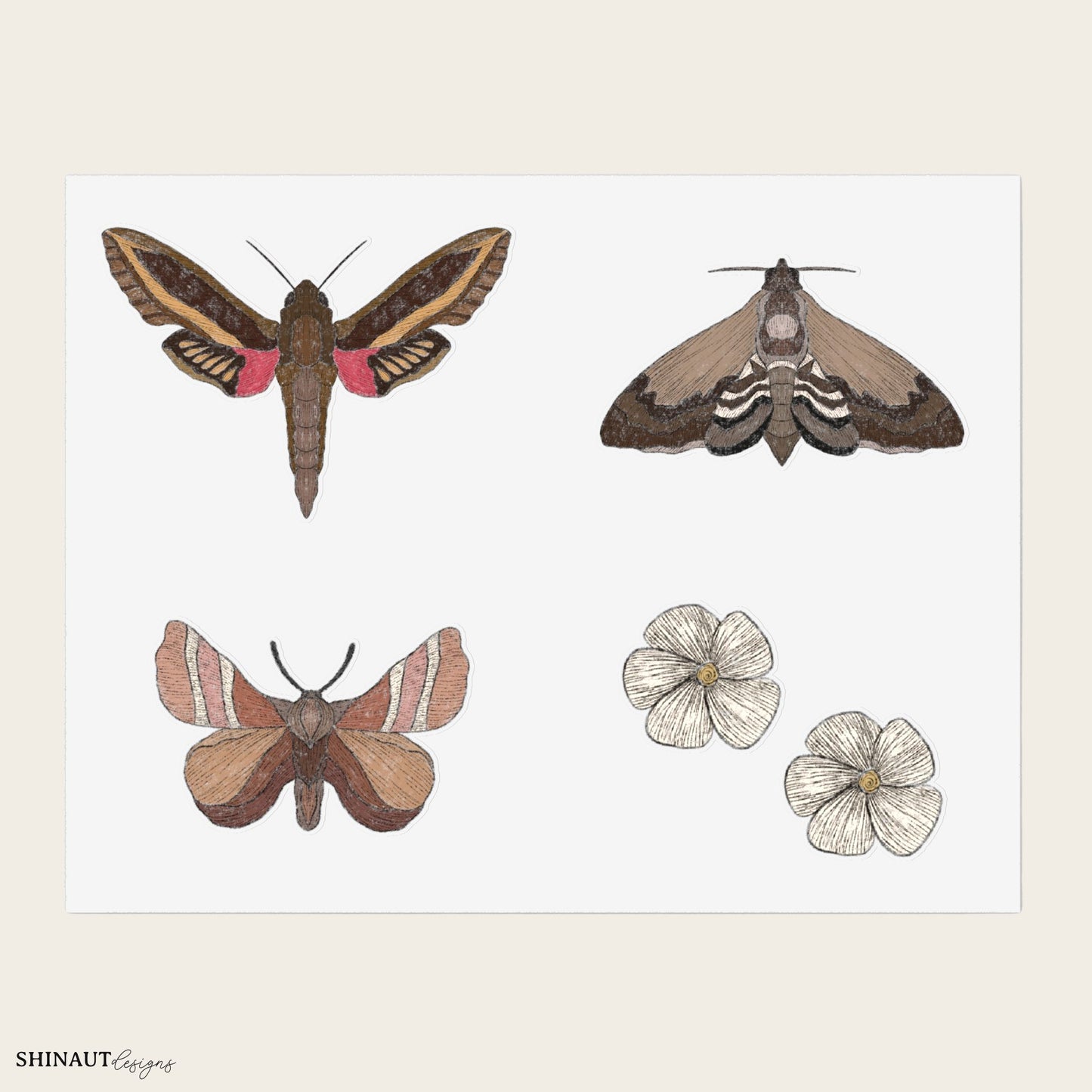 garden moths version 2 sticker sheet