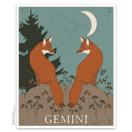 photo of gemini zodiac sticker