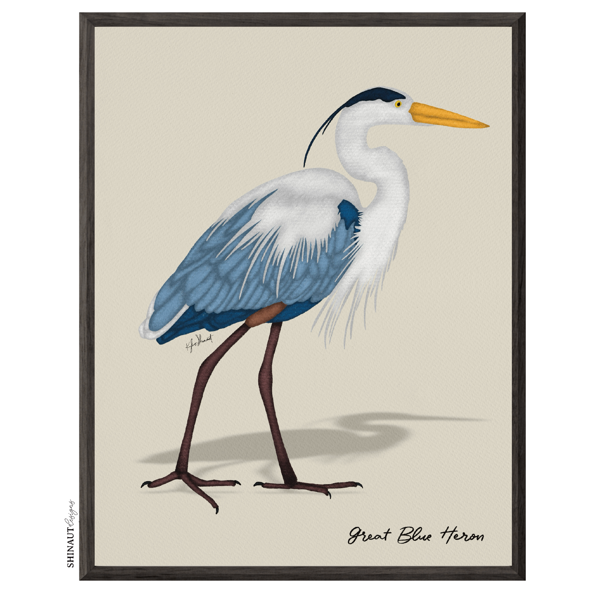 great blue heron art print  in black picture frames