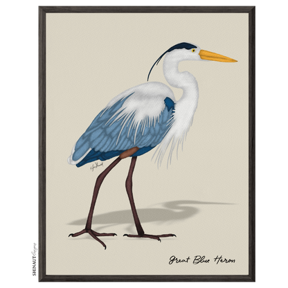 great blue heron art print  in black picture frames