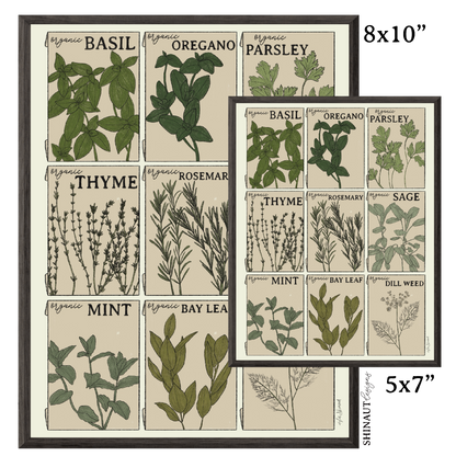 herb seed packets art print size comparison in black picture frames