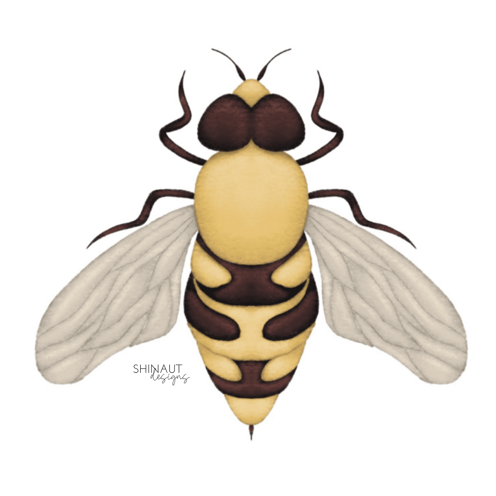 photo of honey bee sticker