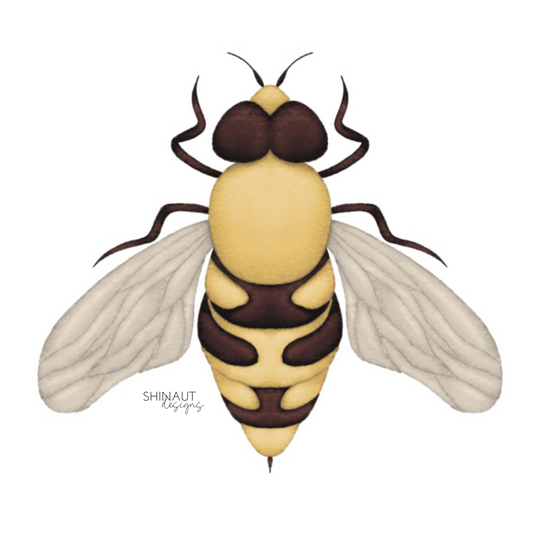 photo of honey bee sticker