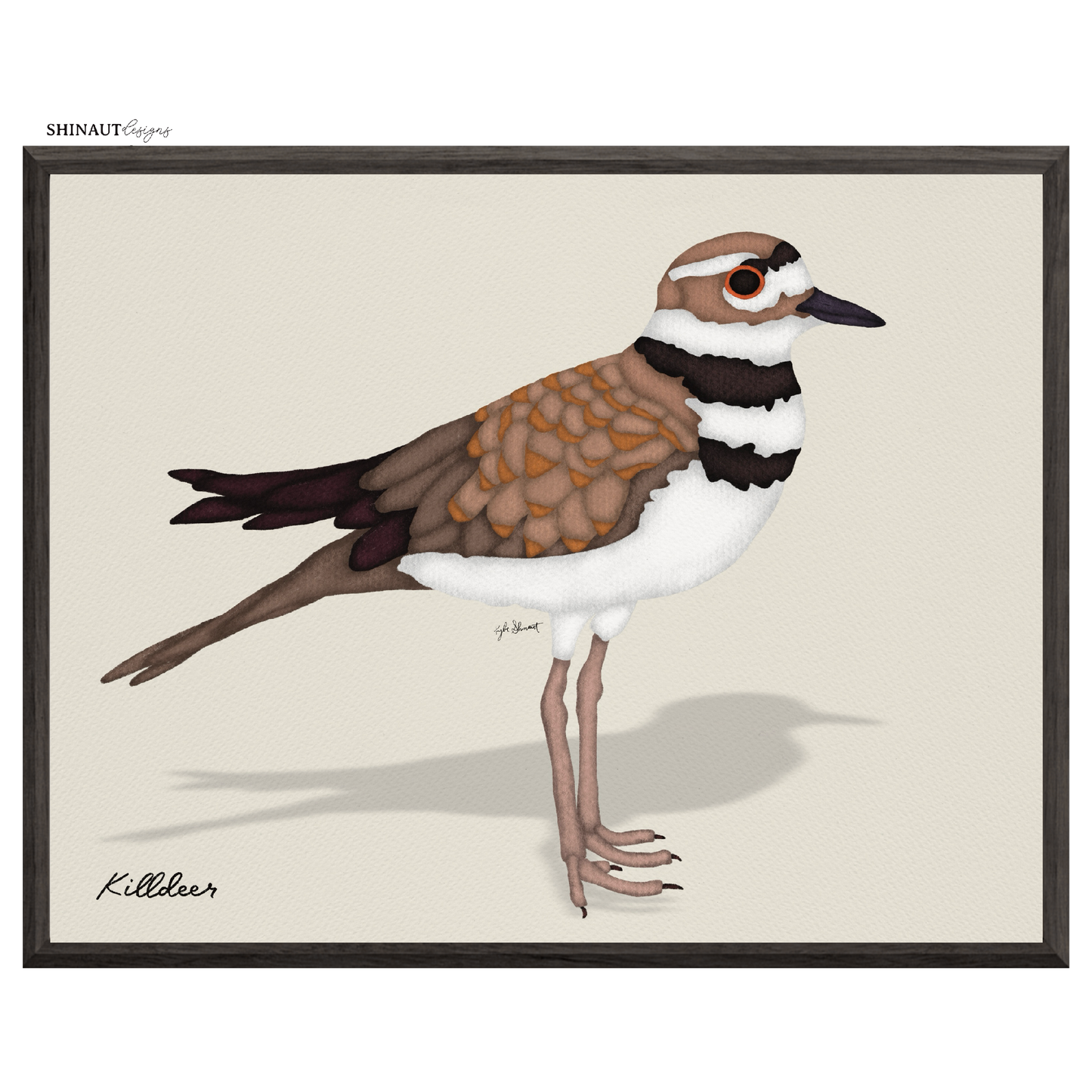 killdeer art print in black picture frames