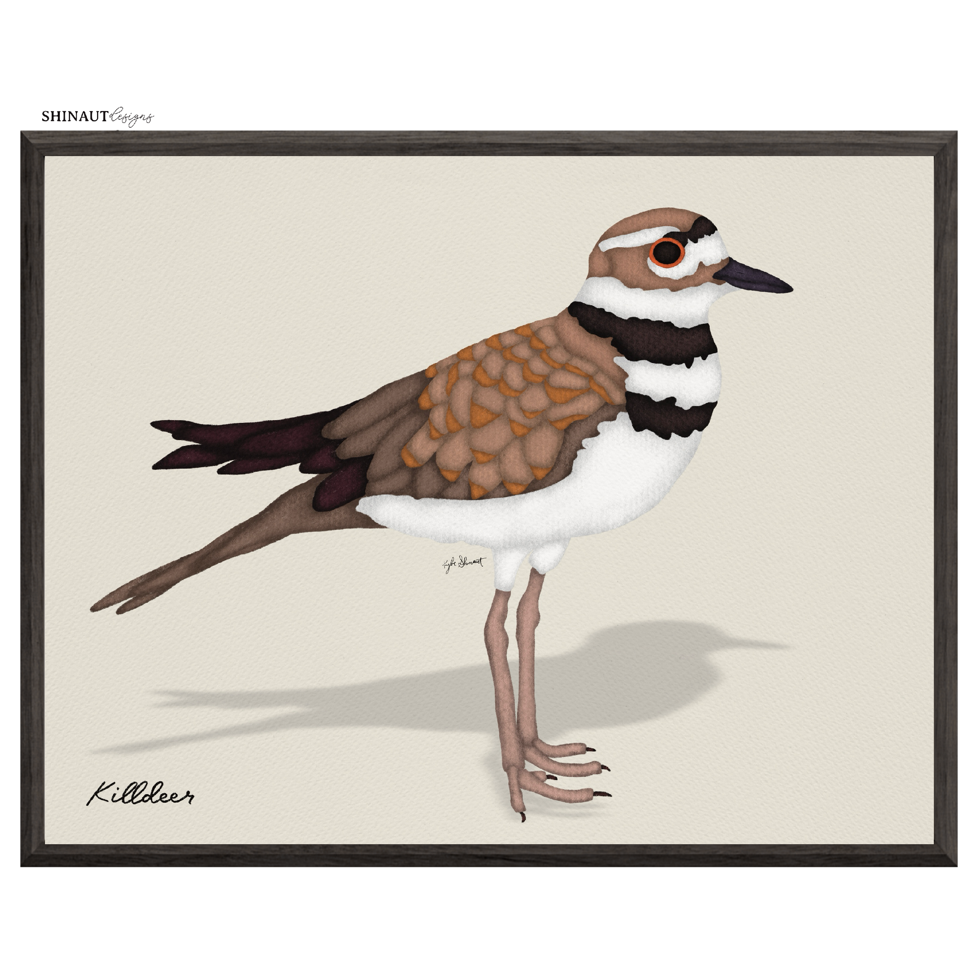 killdeer art print in black picture frames