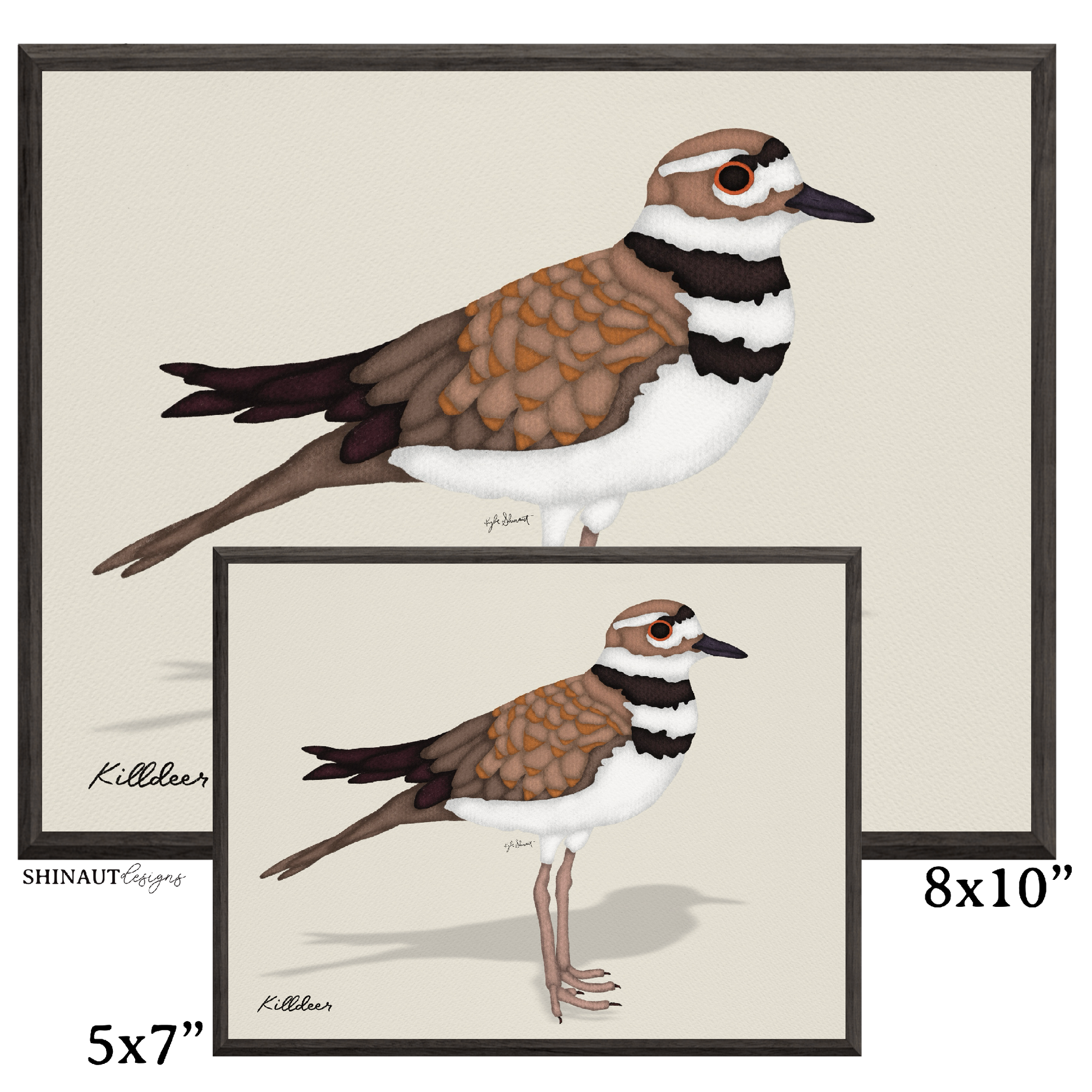 killdeer art print size comparison in black picture frames