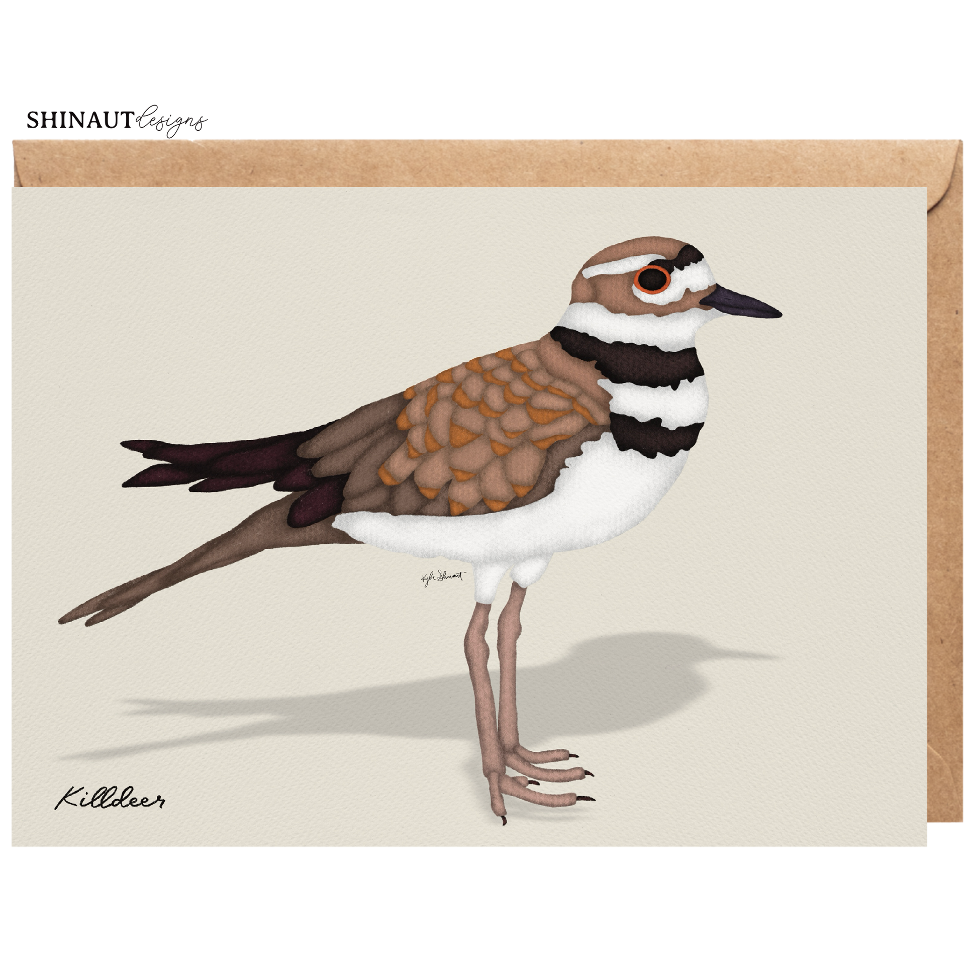 killdeer greeting card with kraft envelope