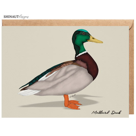 mallard duck greeting card with kraft envelope