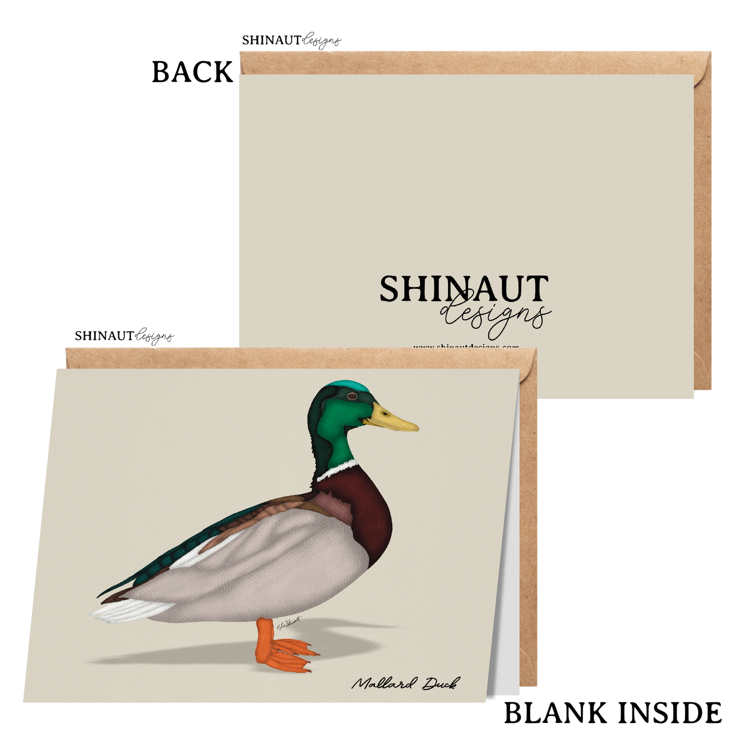 mallard duck greeting card with kraft envelope showing front, inside and back of card