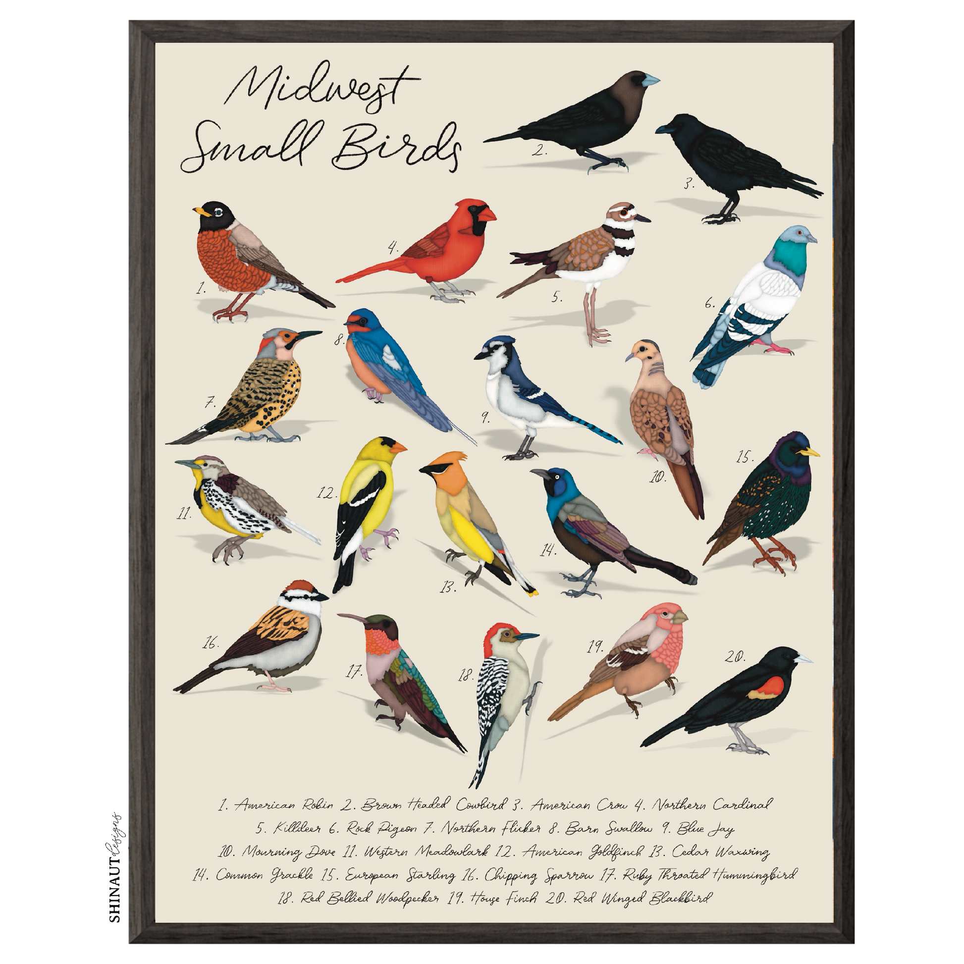 midwest small birds art print in black picture frames