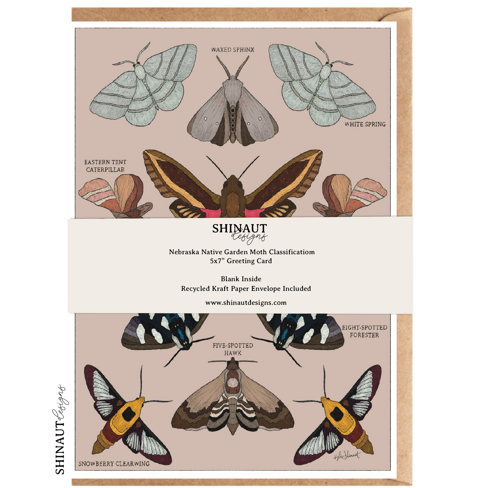 nebraska native moth greeting card packaging