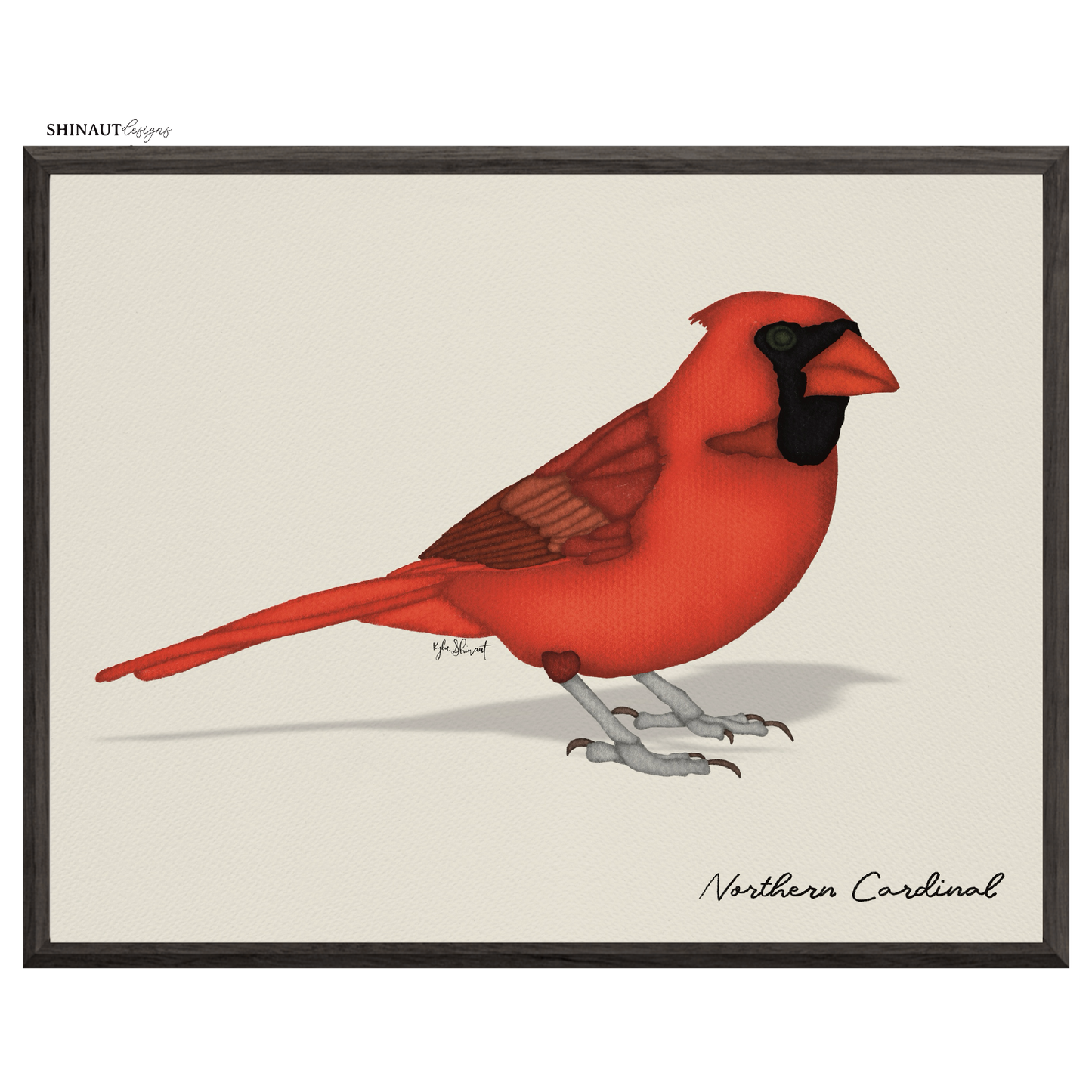 northern cardinal art print  in black picture frames