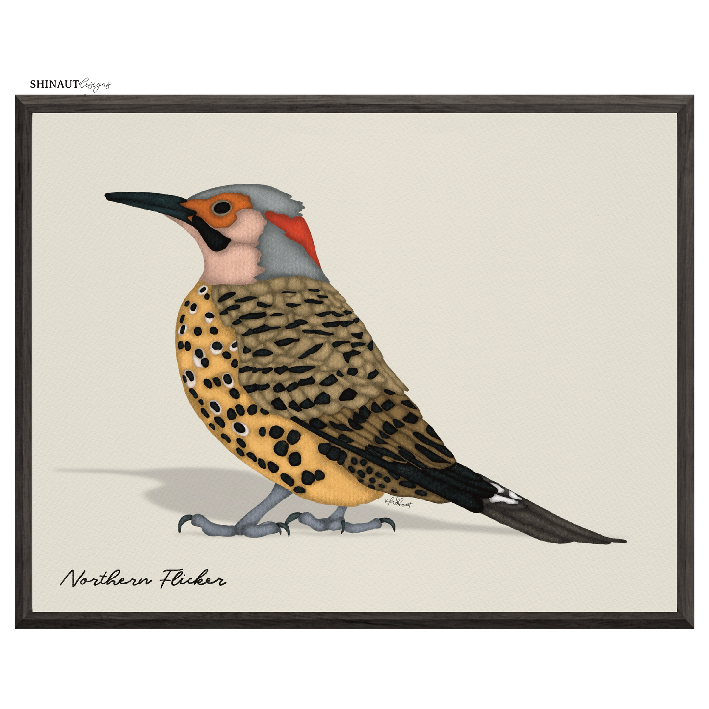 northern flicker art print in black picture frames