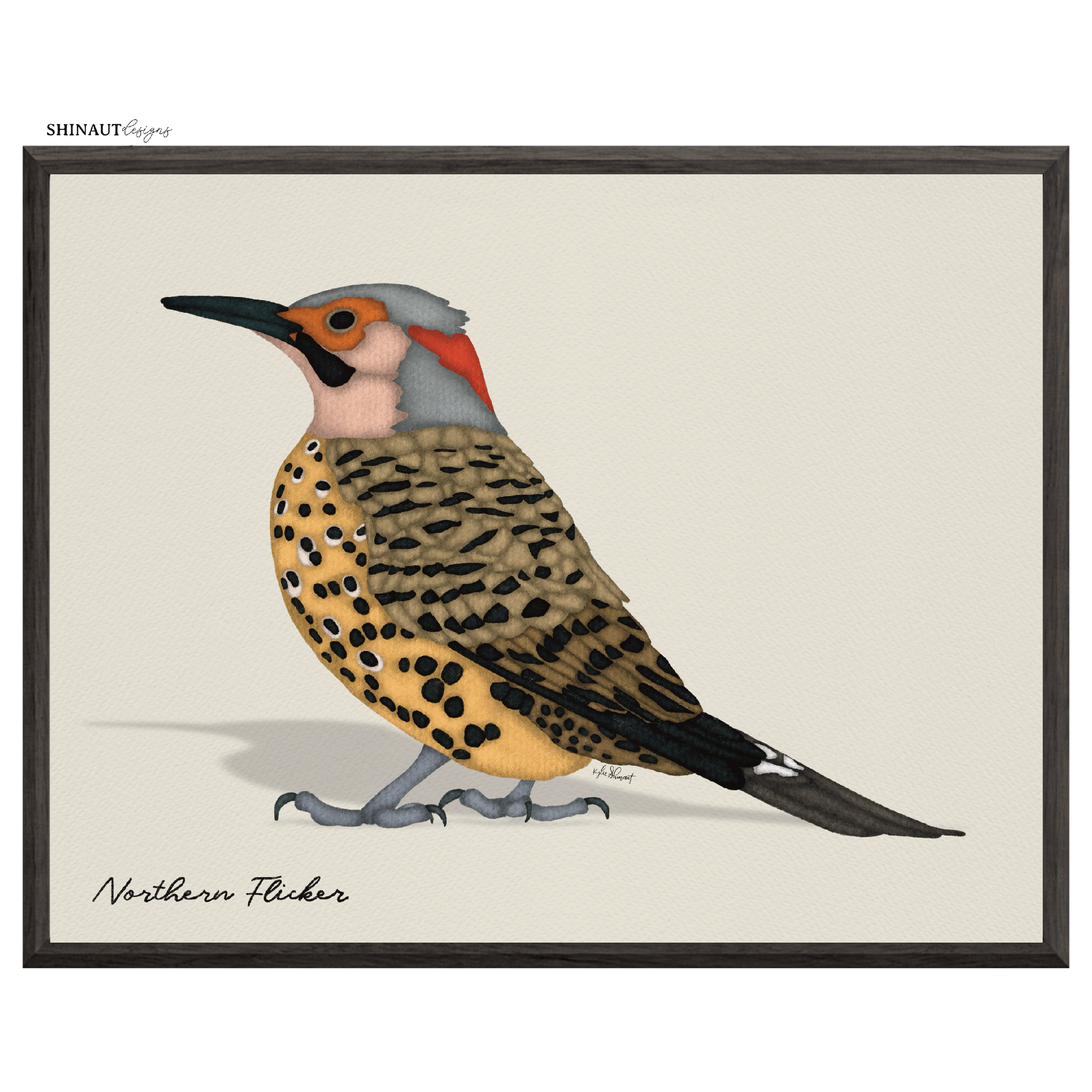 northern flicker art print in black picture frames