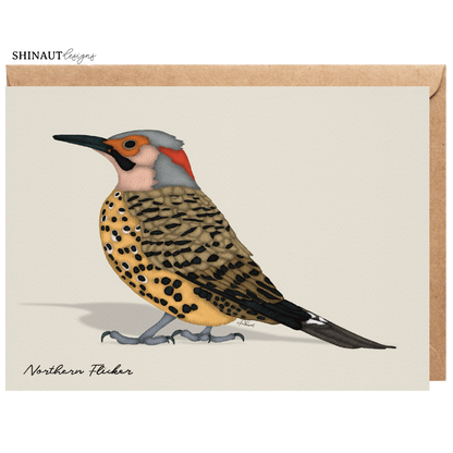 northern flicker greeting card with kraft envelope