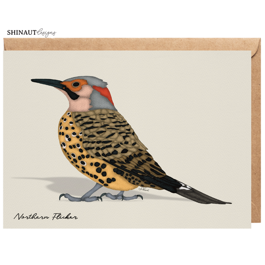 northern flicker greeting card with kraft envelope