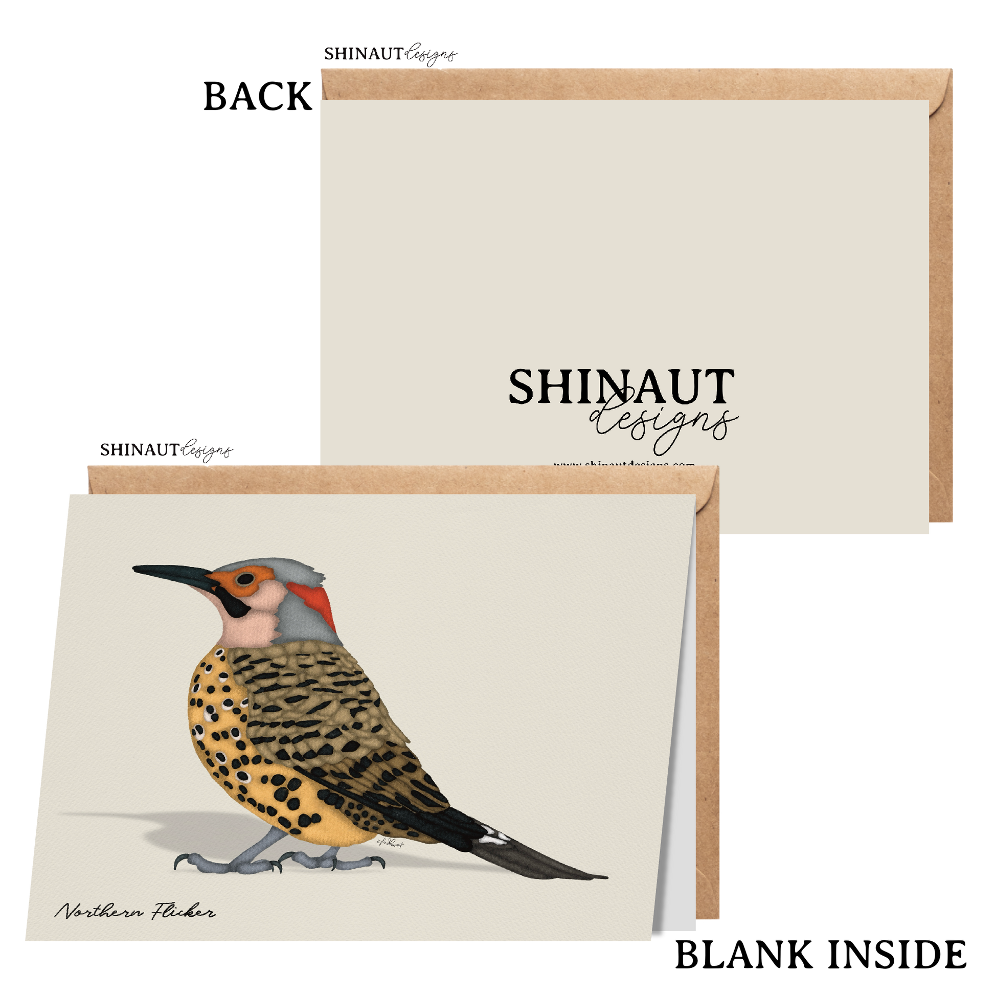 northern flicker greeting card with kraft envelope showing front, inside and back of card