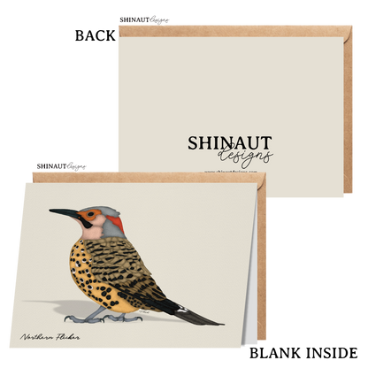 northern flicker greeting card with kraft envelope showing front, inside and back of card