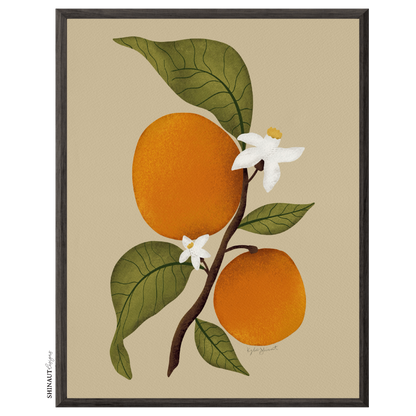 orange blossom art print in black picture frames