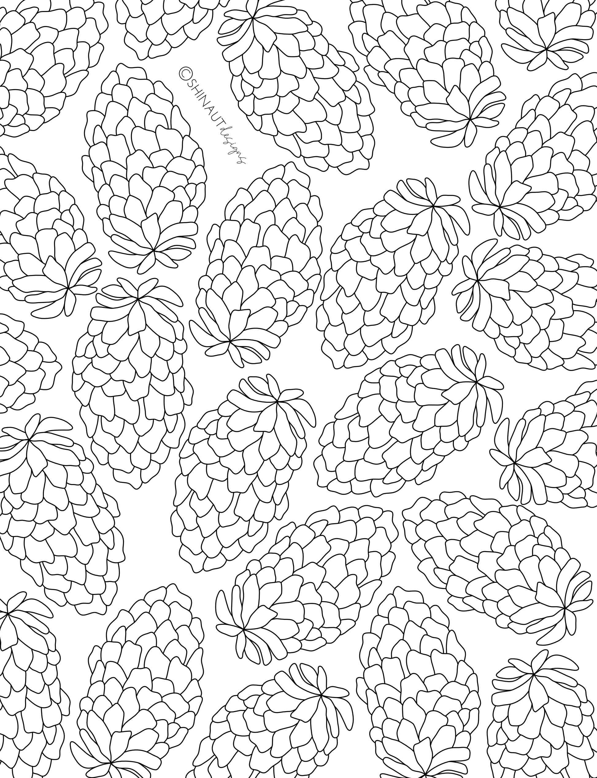 pinecone pattern coloring page digital download