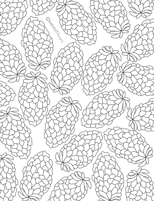 pinecone pattern coloring page digital download