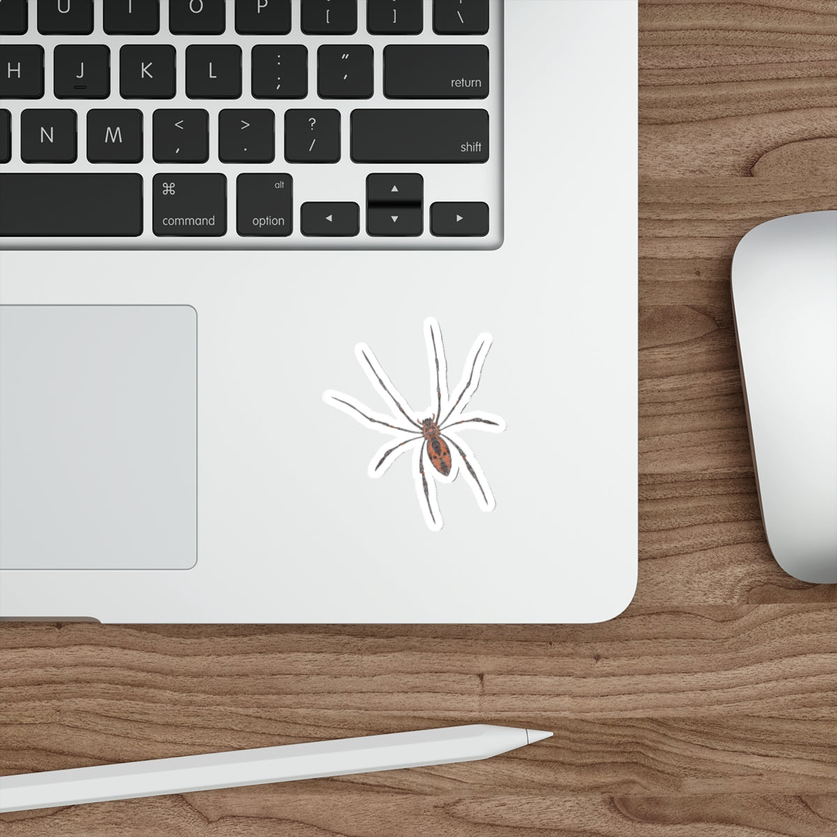 poisonous spider sticker 3