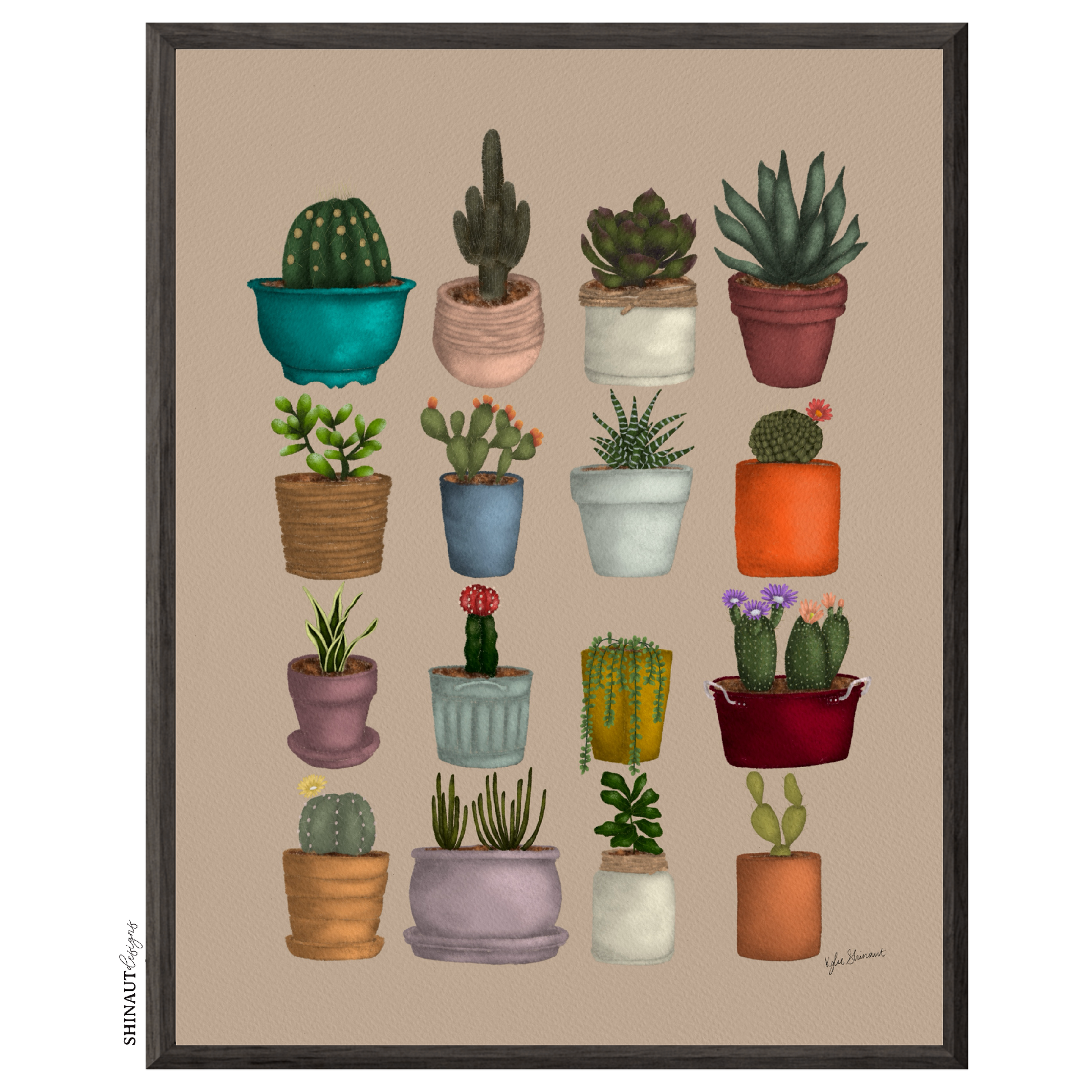 potted cacti and succulents art print in black picture frames