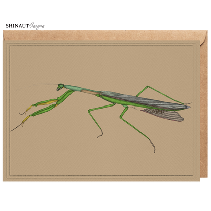 praying mantis greeting card with kraft envelope