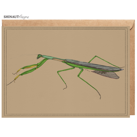 praying mantis greeting card with kraft envelope