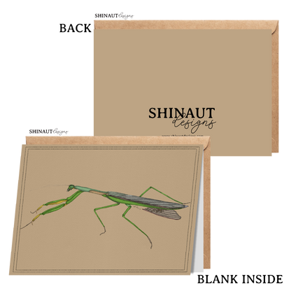 praying mantis greeting card with kraft envelope showing front, inside and back of card