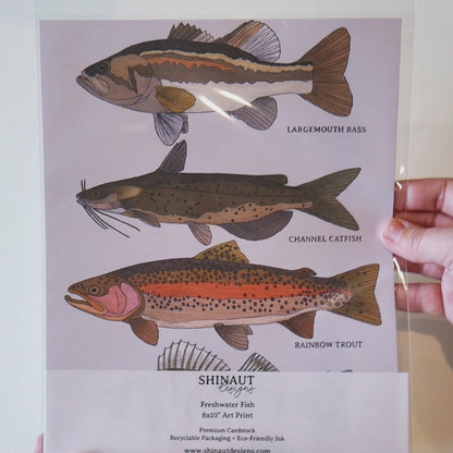 Freshwater Fish art print video