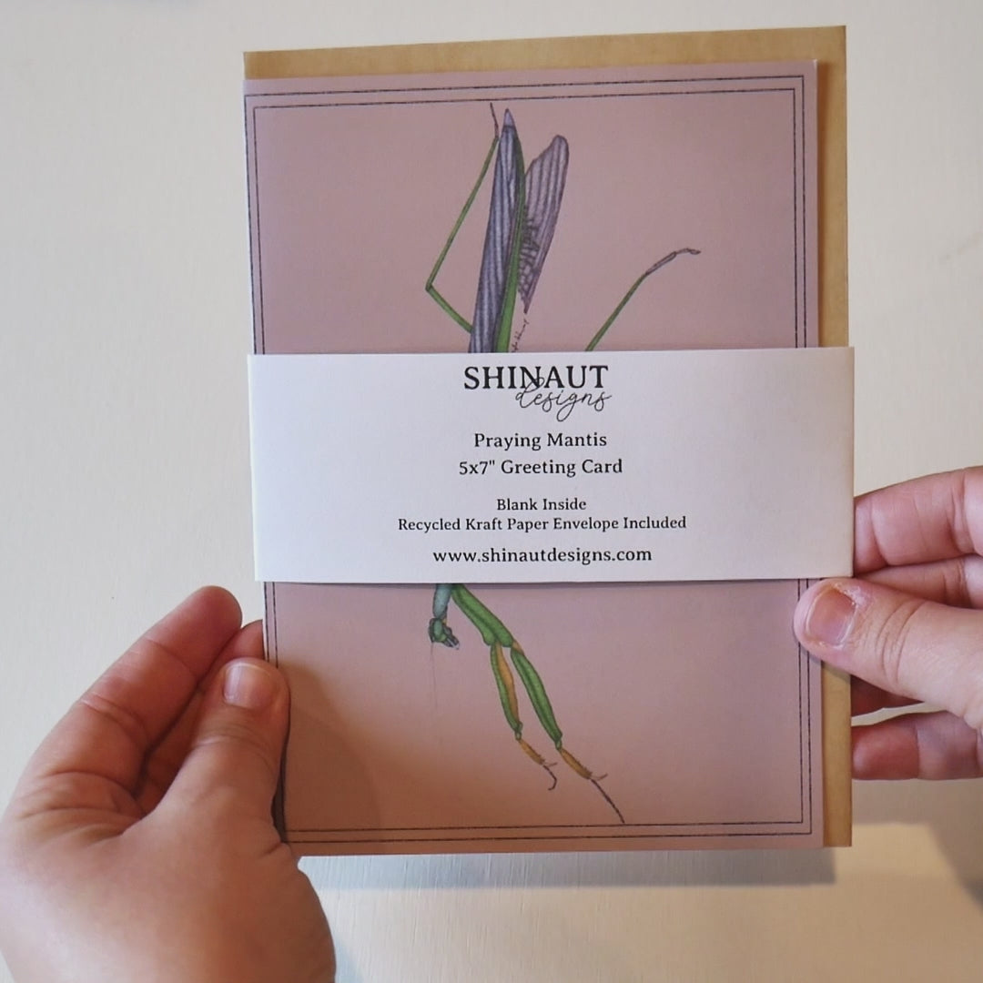 Praying Mantis Greeting Card video