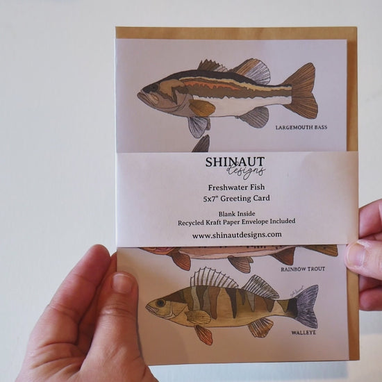 freshwater fish greeting card video