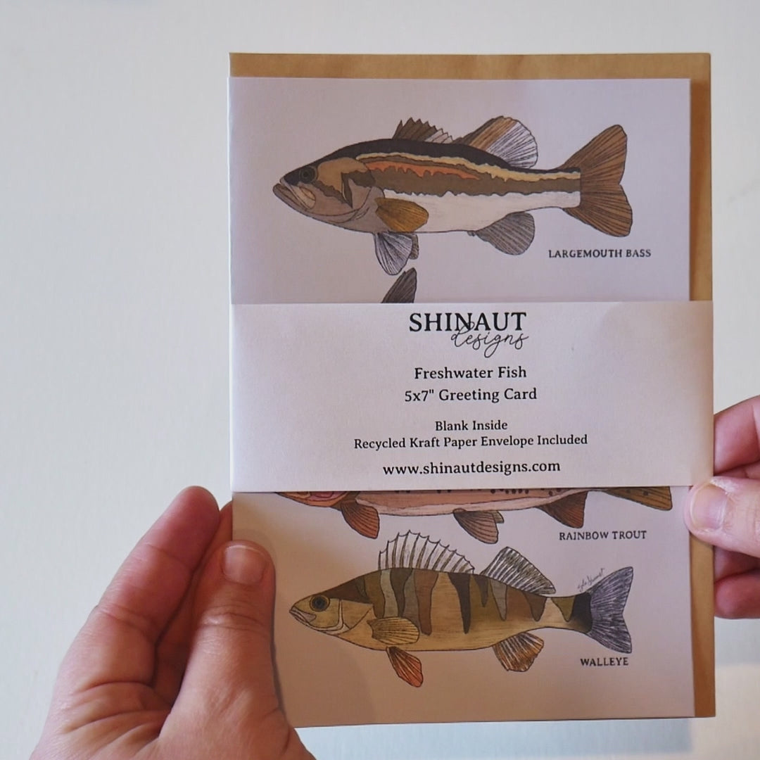 freshwater fish greeting card video