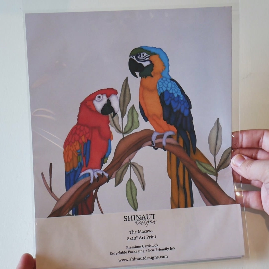 The Macaws Art Print video