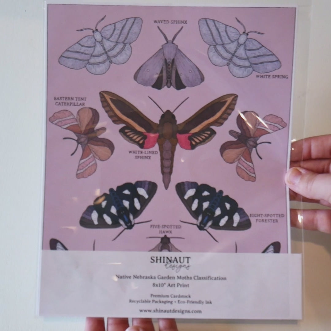 Nebraska Native Garden Moths Classification Art Print video