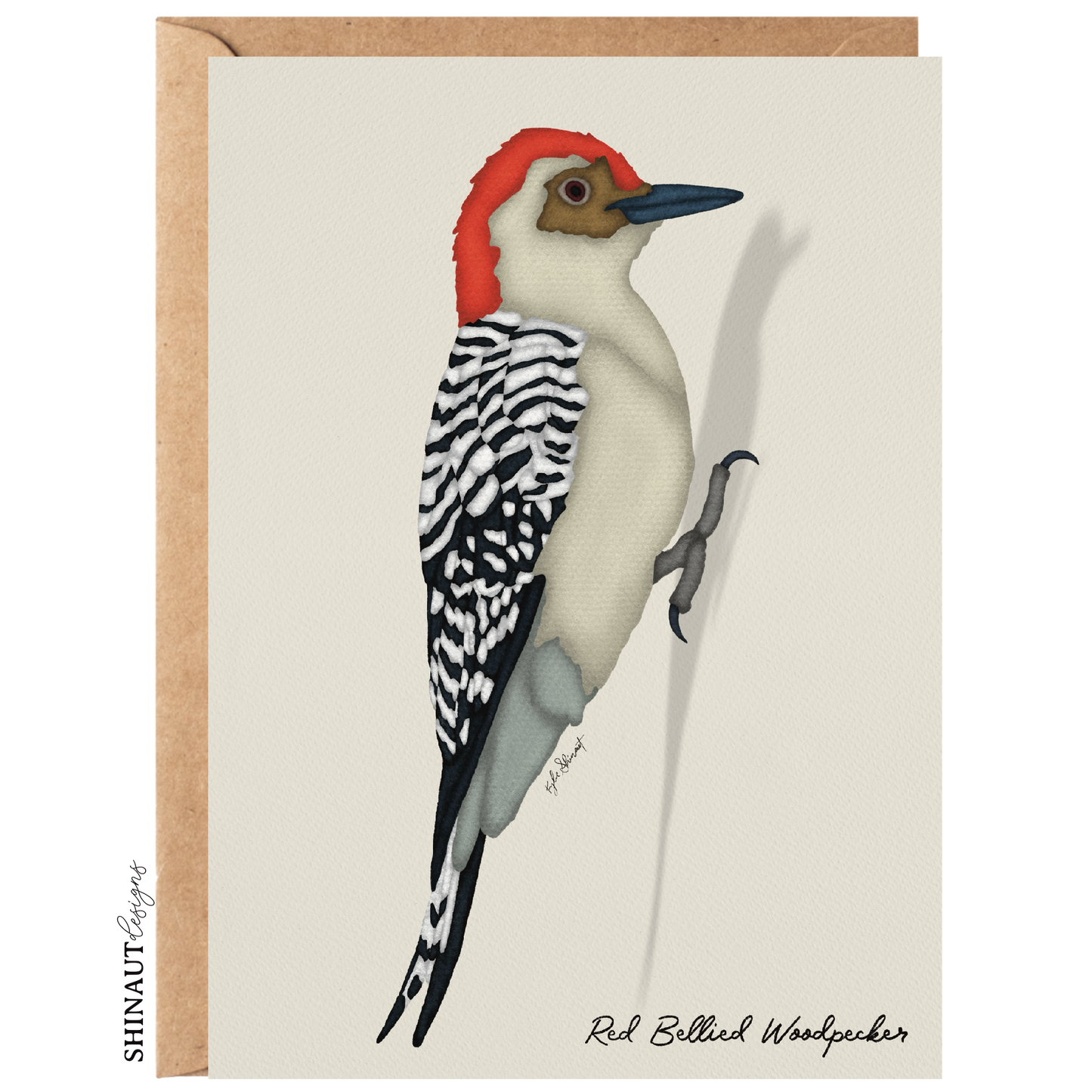 red bellied woodpecker greeting card with kraft envelope