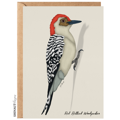 red bellied woodpecker greeting card with kraft envelope