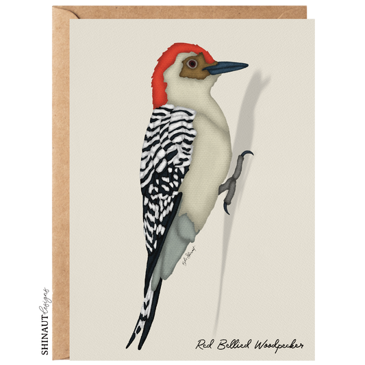 red bellied woodpecker greeting card with kraft envelope