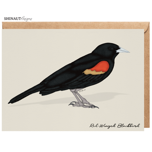 red winged blackbird greeting card with kraft envelope