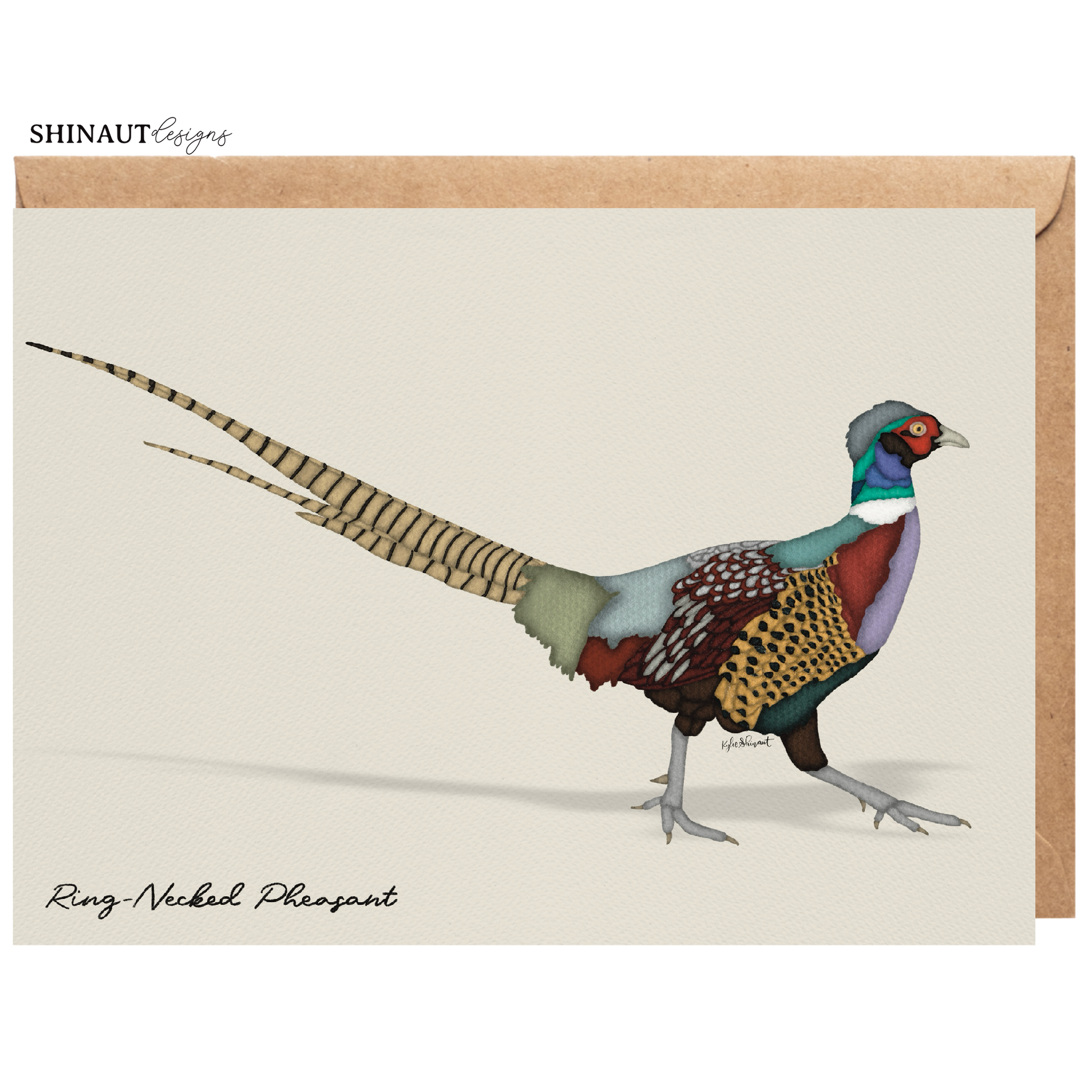 ring necked pheasant greeting card with kraft envelope