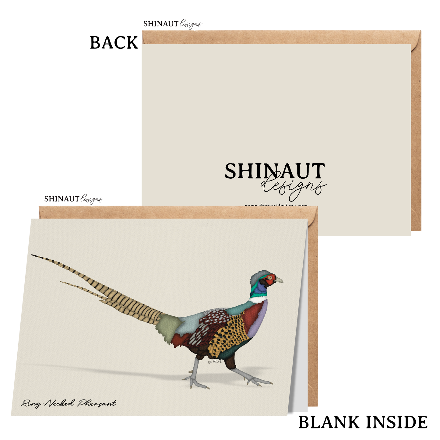 ring necked pheasant greeting card with kraft envelope showing front, inside and back of card