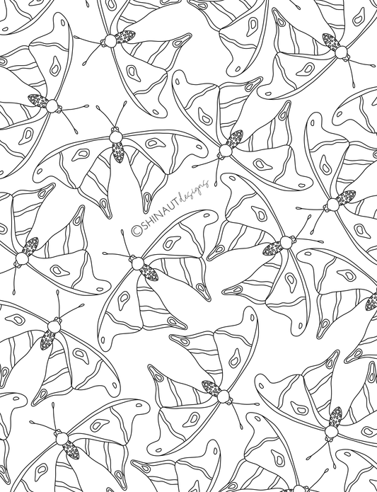 spotty butterfly pattern coloring page digital download