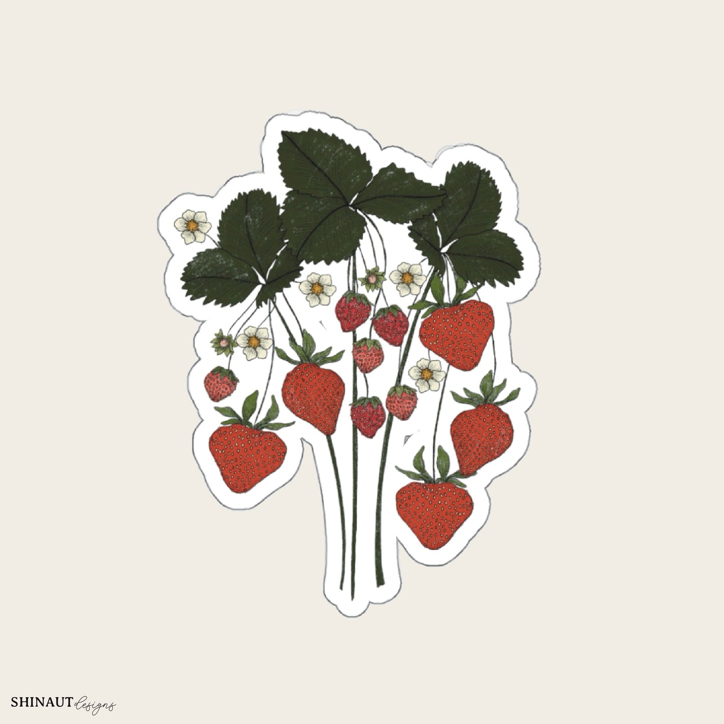 strawberry plant die cut sticker