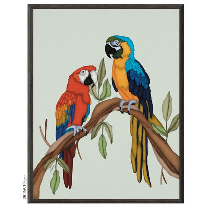 the macaws art print in black picture frames