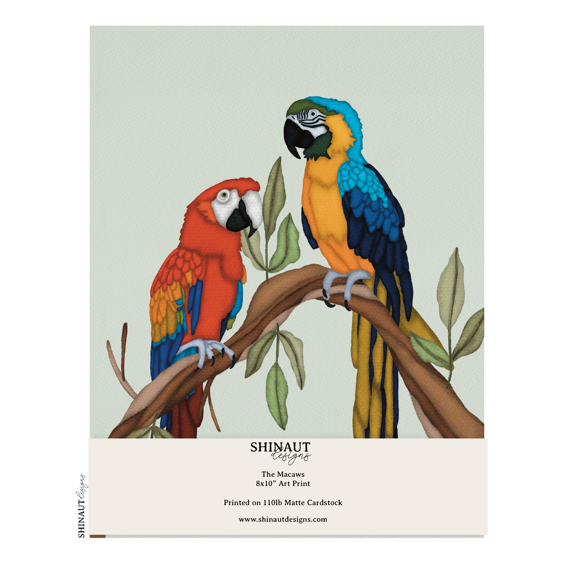 the macaws art print packaging